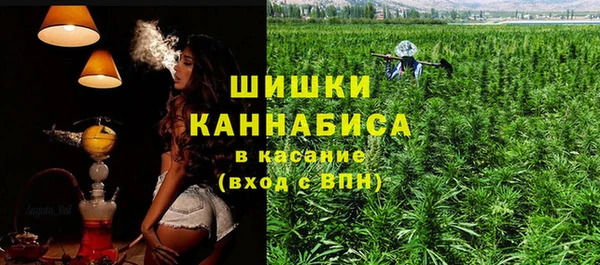 apvp Аркадак